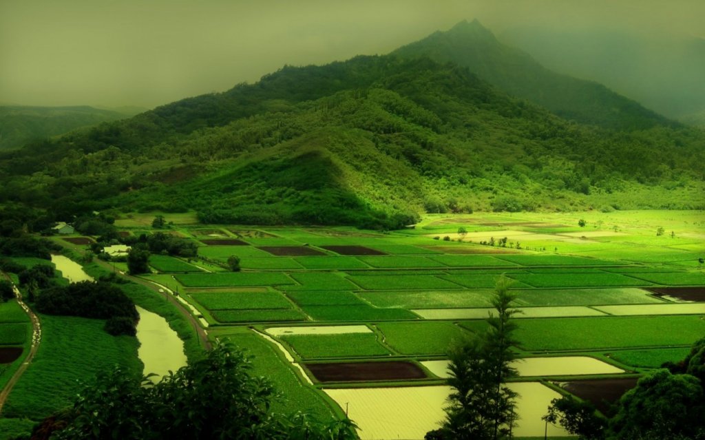 landscapes (15)