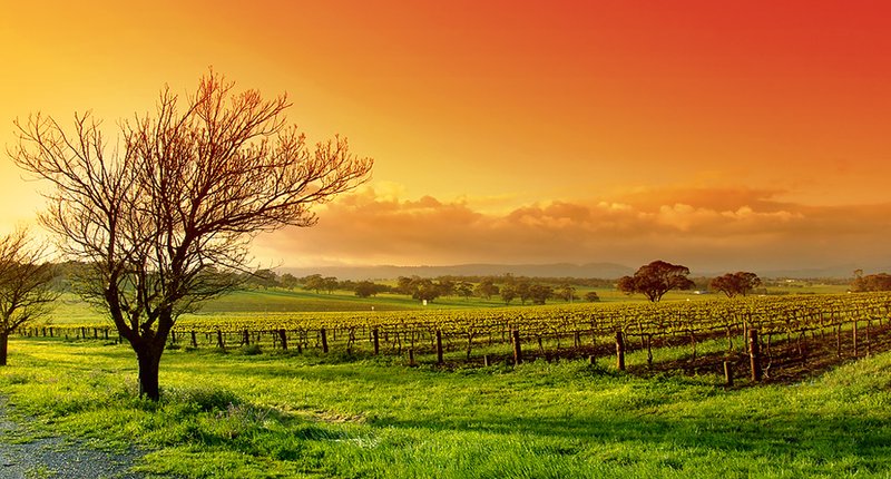 landscapes (4)