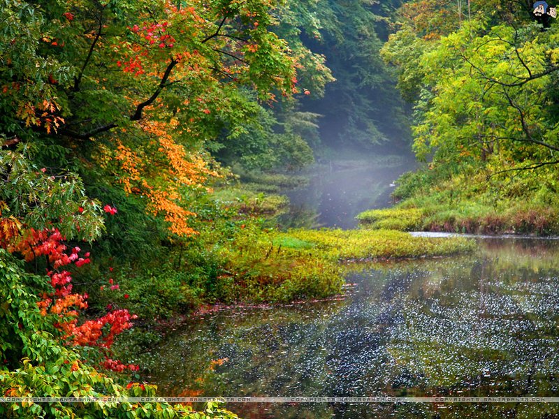 landscapes (5)