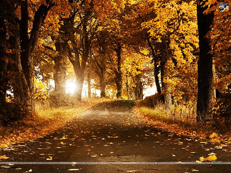 landscapes (7)