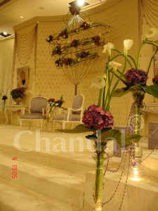 m0dy.net-21206951406