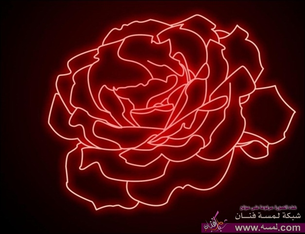 neon_rose_thumb