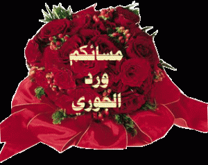 photos_evening_al_khair_bonsoir_06