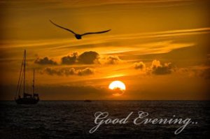 photos_evening_al_khair_bonsoir_11