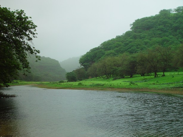 صلالة المدينة الجميلة عمان salalah11 صلالة المدينة الجميلة عمان