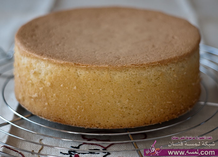 تورتة الكيكة الإسفنجية spongecake v تورتة الكيكة الإسفنجية