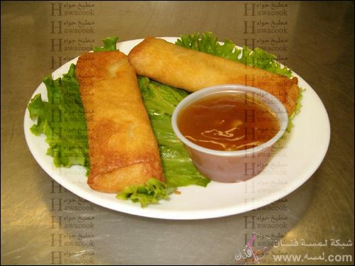 بالصور كتاب اكلات رمضانية منوعة 2014 وصفات اكلات رمضانية للفطور والسحور 2015 springroll بالصور كتاب اكلات رمضانية منوعة 2014 وصفات اكلات رمضانية للفطور والسحور 2015