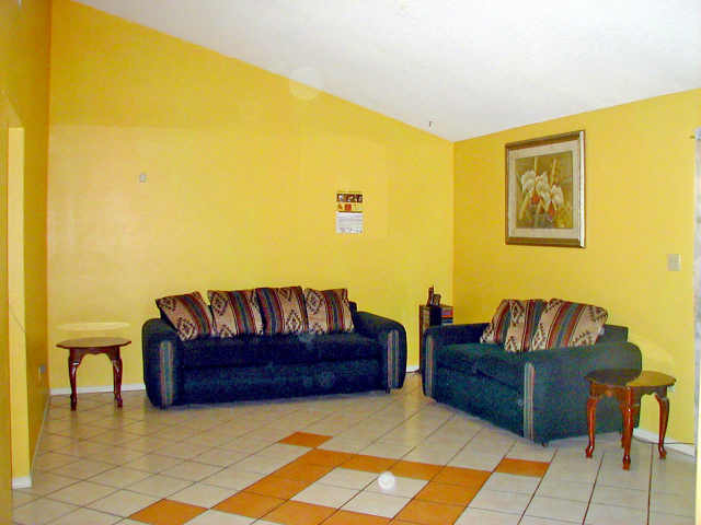 yellow-living-room-paint-design-2
