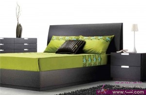 صور-اوض-نوم-2014-19-300x196